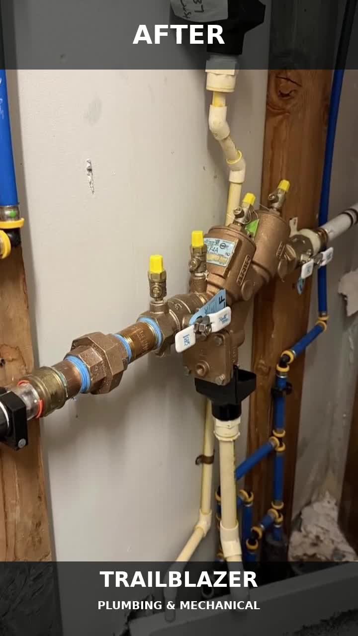 Commercial backflow replacement